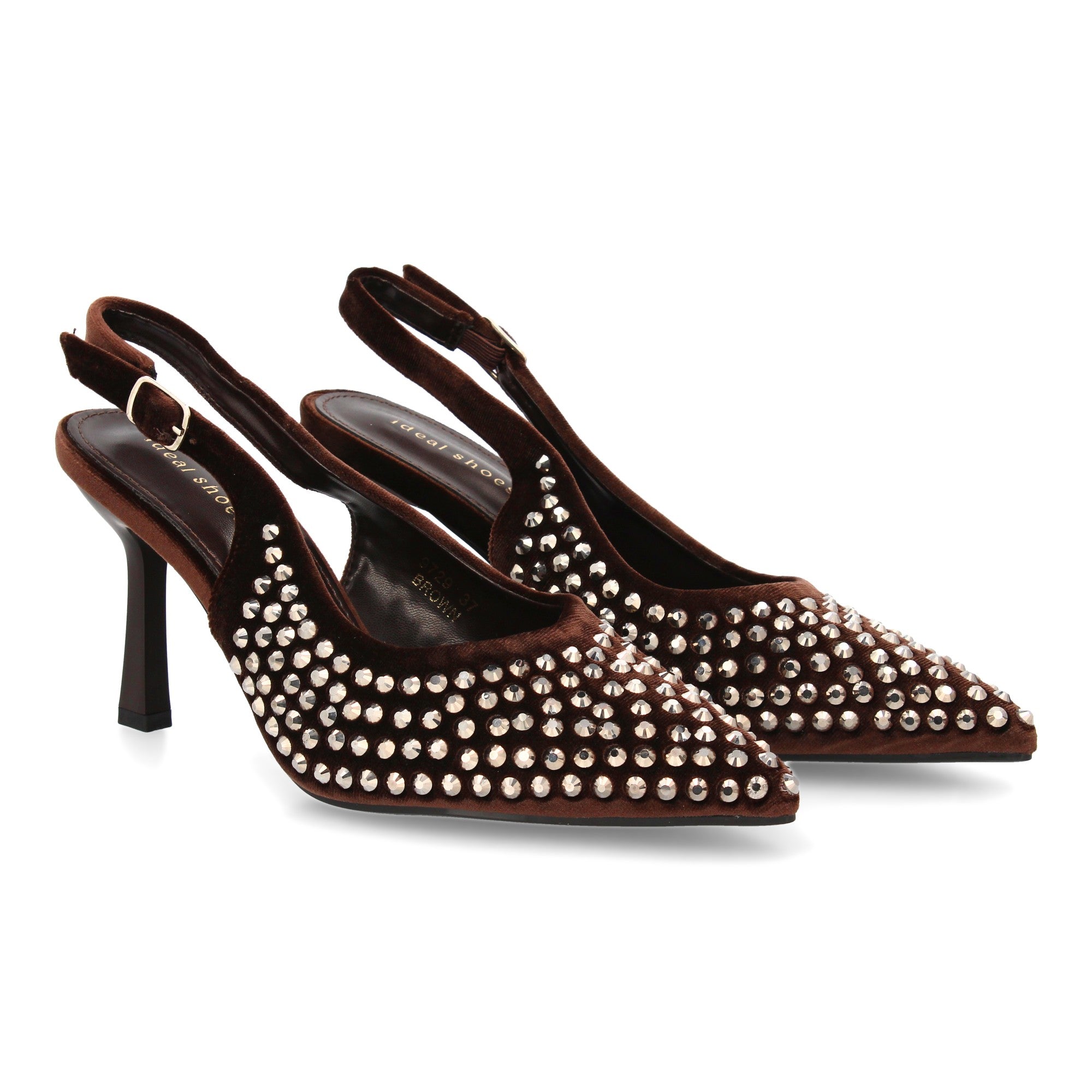 9729-Marron