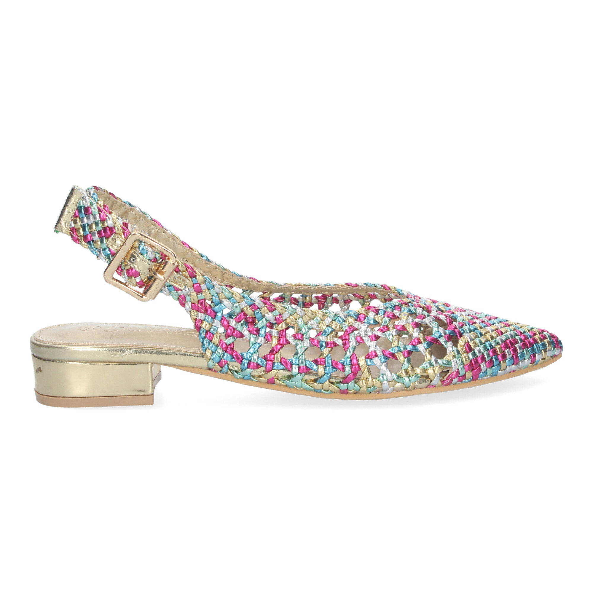Zapato Multicolor De Salon De Tacon Plano de Mujer