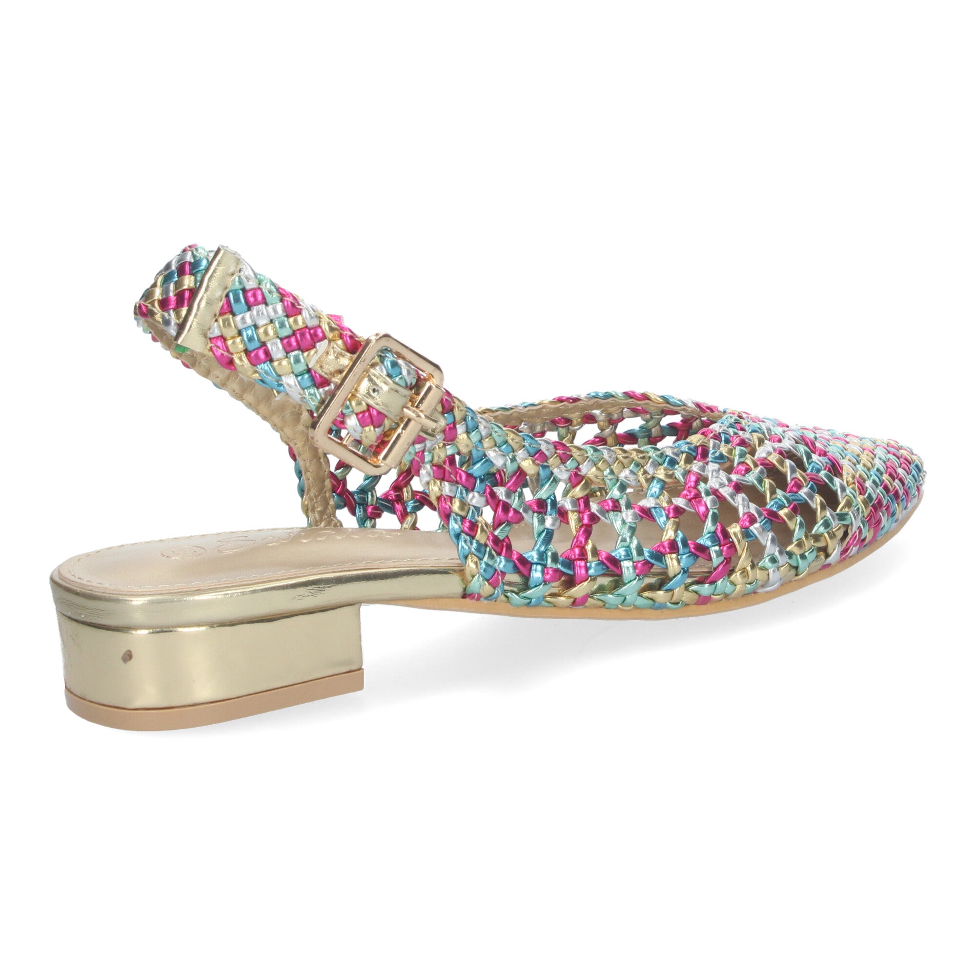 Zapato Multicolor De Salon De Tacon Plano de Mujer