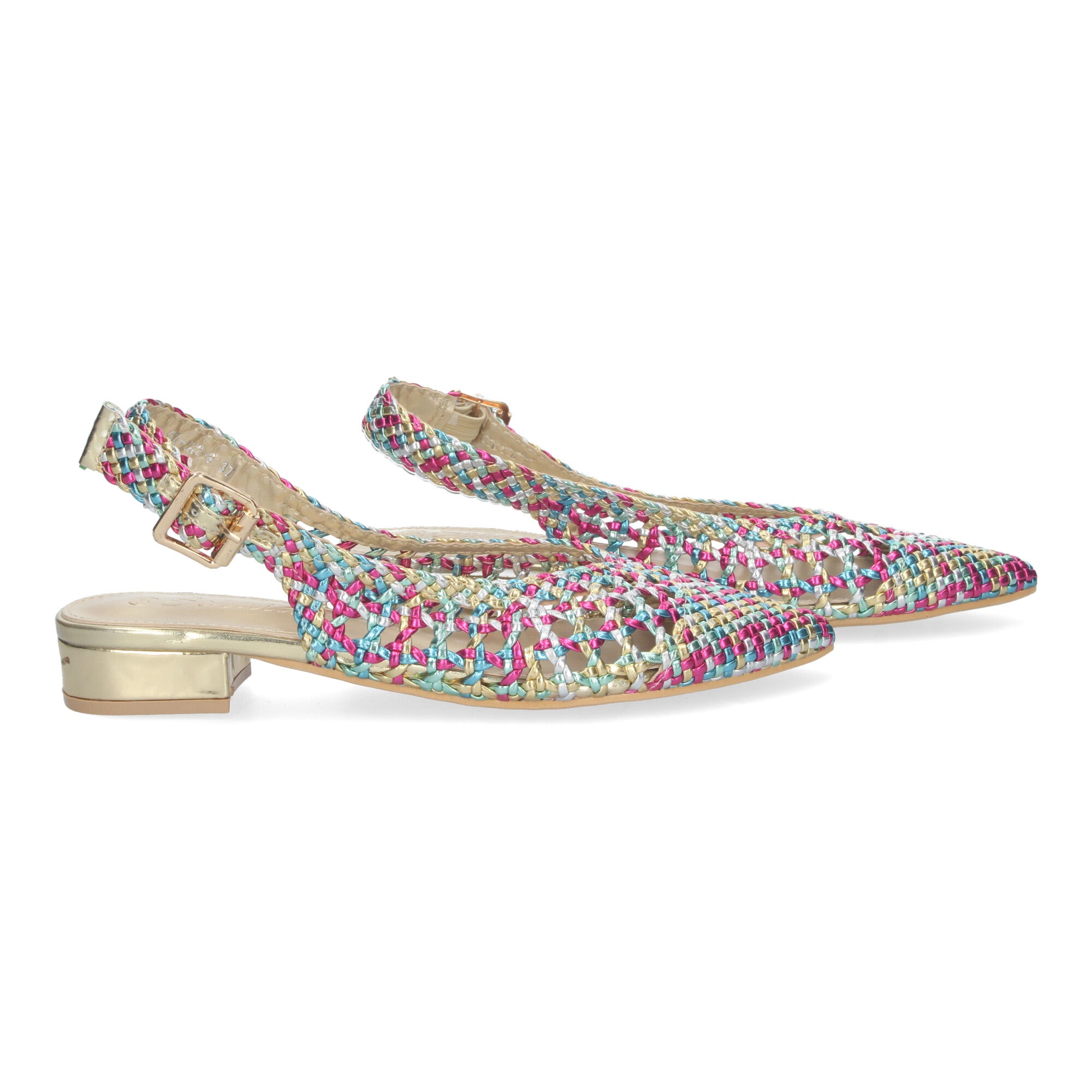 Zapato Multicolor De Salon De Tacon Plano de Mujer