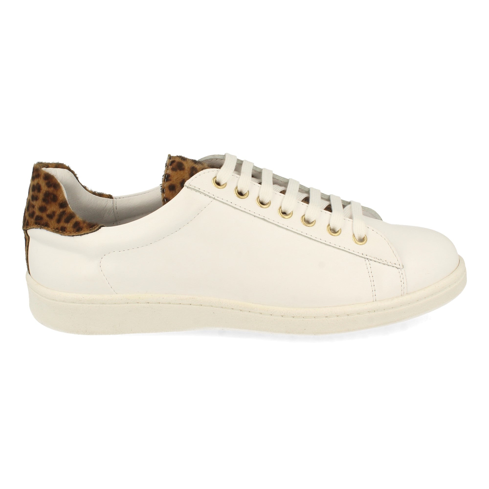 SATURNO-Leopardo