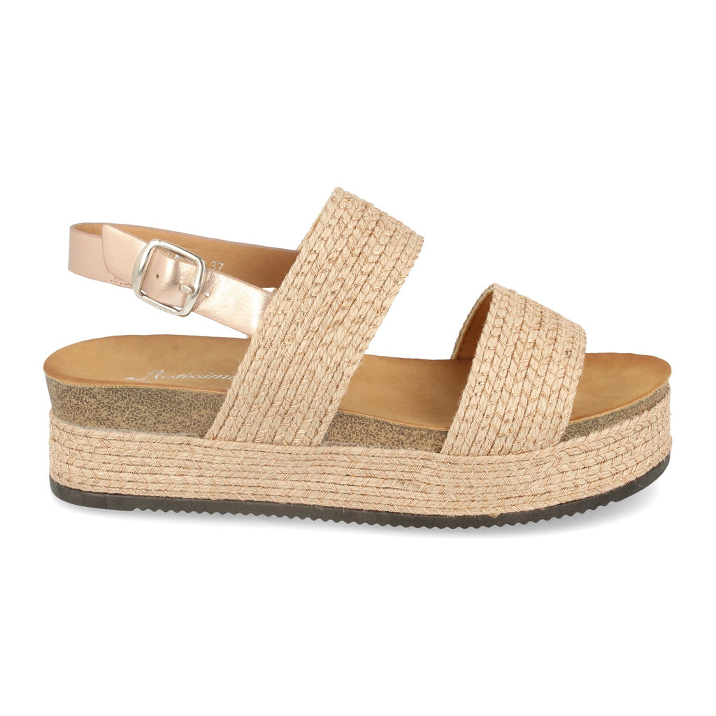 YT5561-Champan